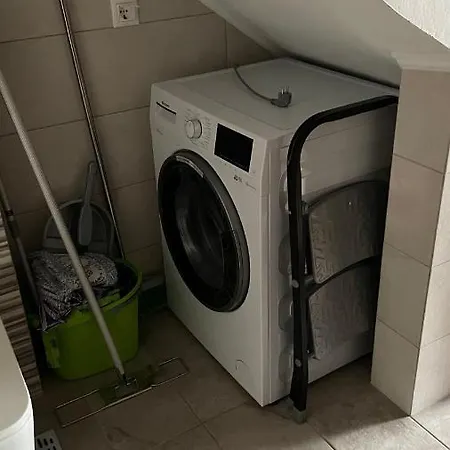 Kaktus *